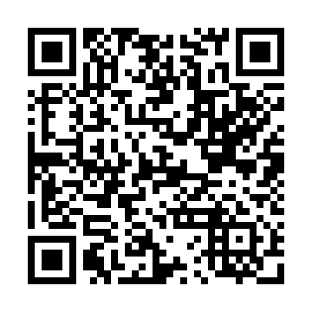QR code for D6C311
