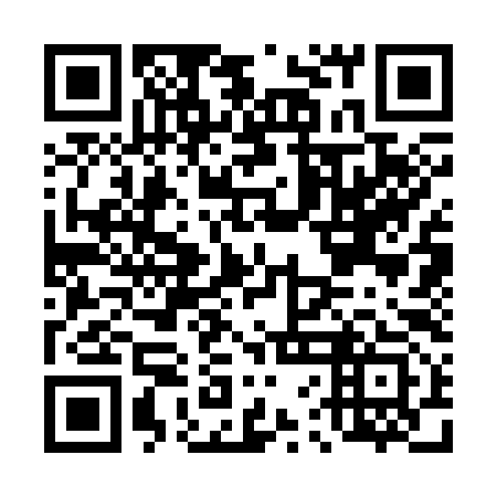 QR code for D6C393
