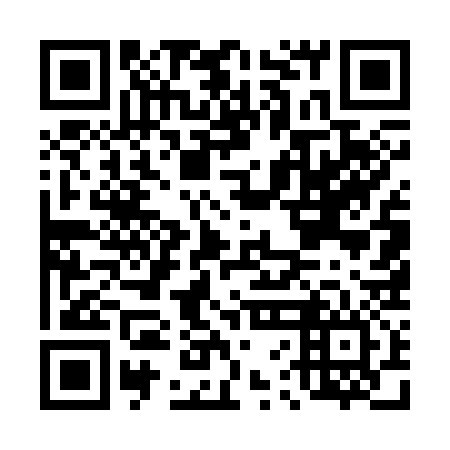 QR code for D6E 336