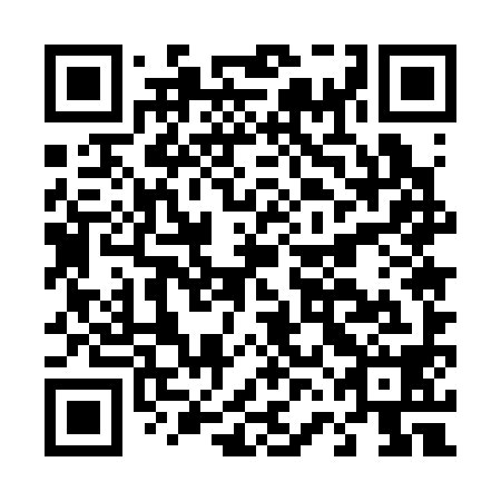 QR code for D6E 398