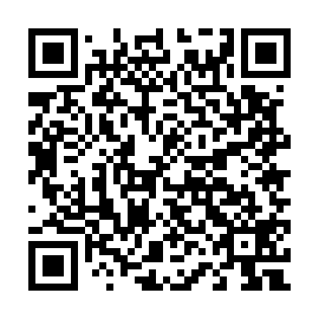 QR code for D6E 519