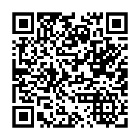 QR code for D6E 747