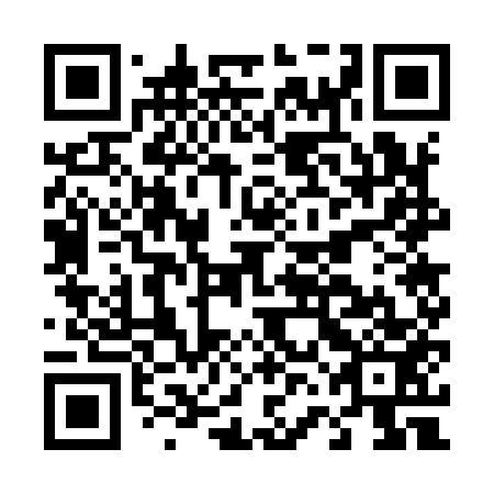 QR code for plate D6G 953