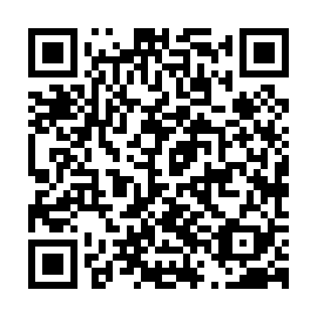 QR code for plate D6H 029