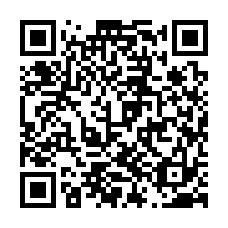 QR code for D6I 333