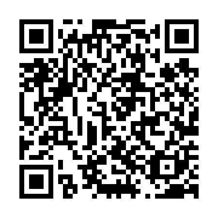 QR code for D6L601