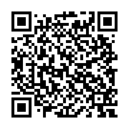 QR code for D6L713