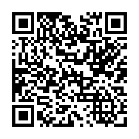 QR code for D6N 335
