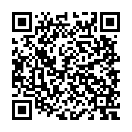 QR code for D6N541