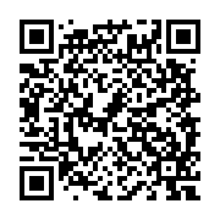 QR code for plate D6N 597