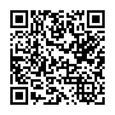 QR code for D6O381
