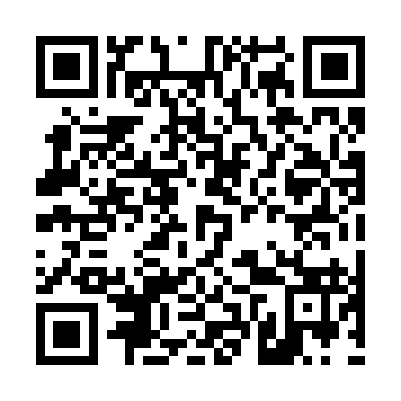 QR code for D6P293