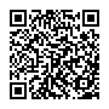 QR code for D6P381