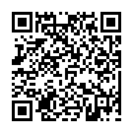 QR code for D6R 370