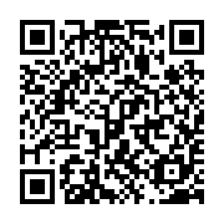 QR code for D6S 295