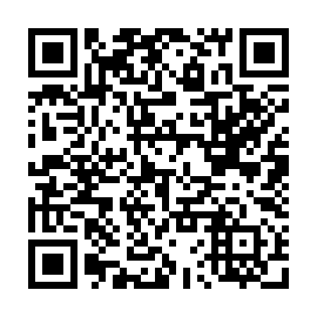 QR code for D6S 390