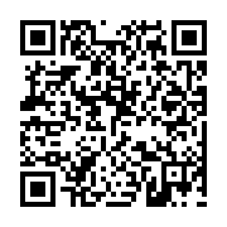 QR code for D6V386