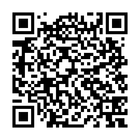 QR code for D6W738