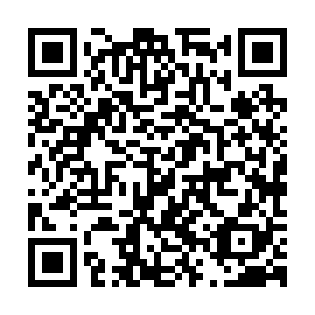 QR code for D6X228