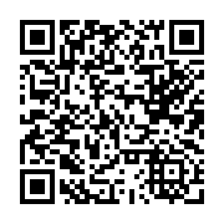 QR code for D6X393