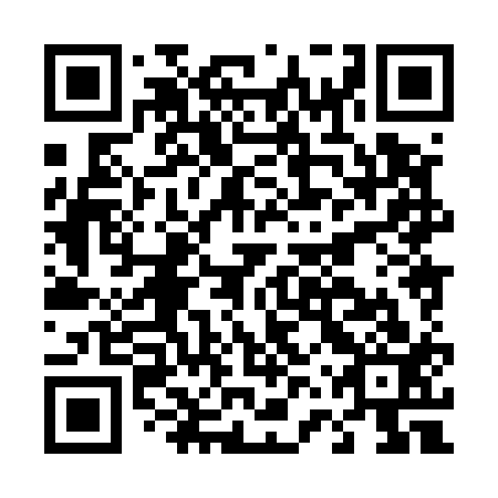 QR code for plate D6X 513