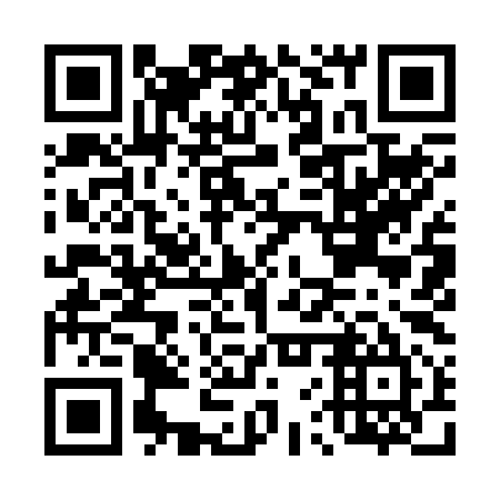 QR code for plate D6Y 295