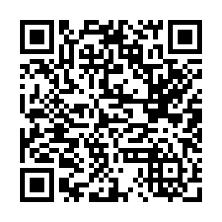 QR code for plate D8A 384