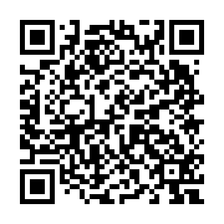 QR code for plate D8A 613