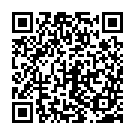 QR code for D8I 343