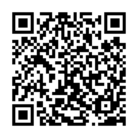 QR code for D8S617