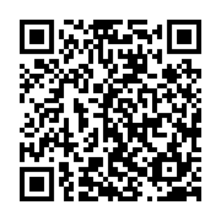 QR code for D8X 234