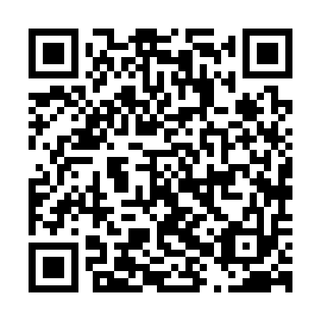 QR code for D8X 313