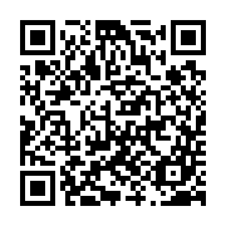 QR code for D9C 747