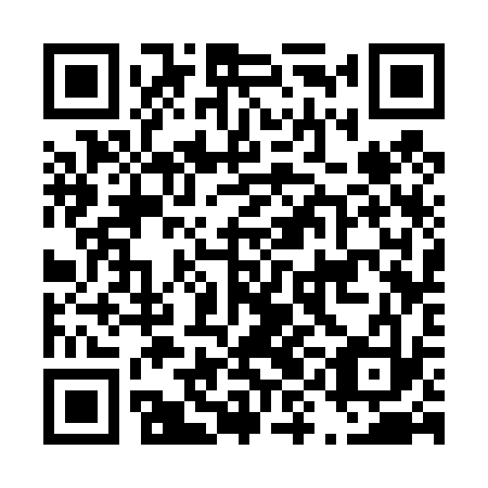 QR code for plate D9C 433