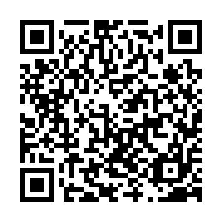 QR code for D9F 317