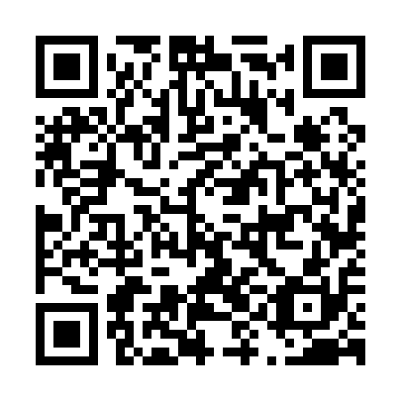 QR code for plate D9F 110