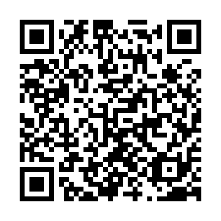 QR code for D9G 911