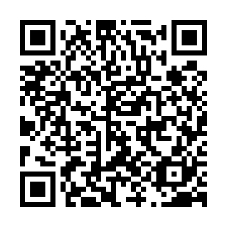 QR code for plate D9G 520