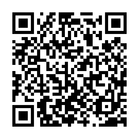 QR code for plate D9H 413