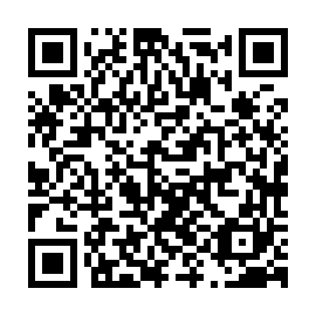 QR code for plate D9H 960