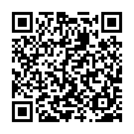 QR code for D9L 294