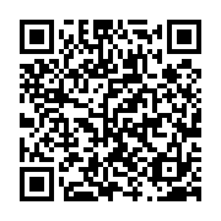 QR code for D9L 533