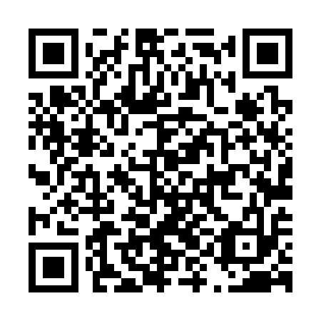 QR code for D9L313