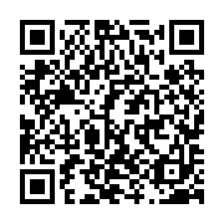 QR code for D9N293