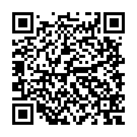 QR code for plate D9N 519