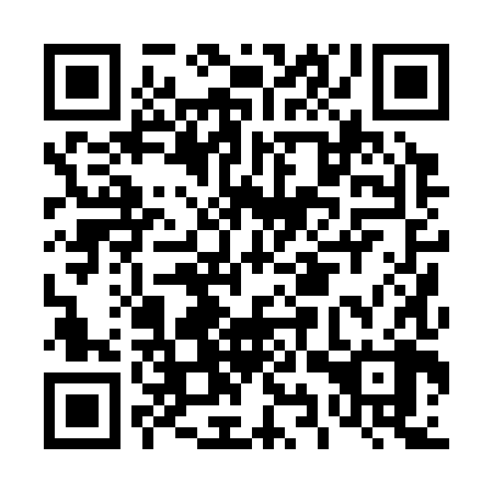 QR code for plate D9P 388