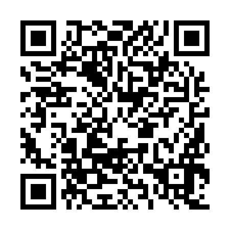 QR code for plate D9Q 196