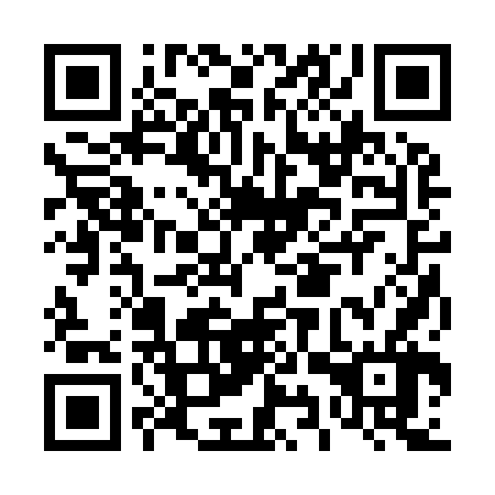 QR code for plate D9R 966