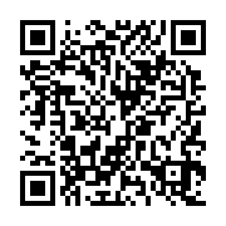 QR code for D9T 333
