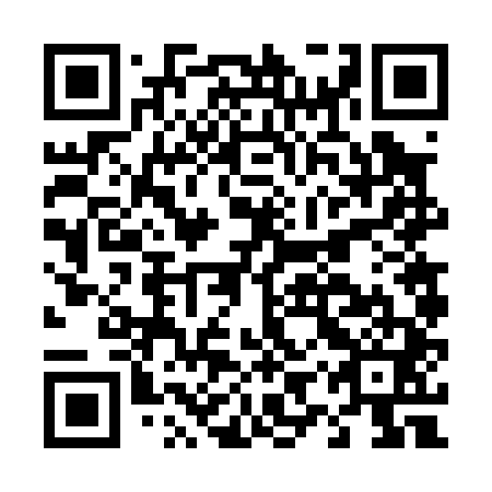 QR code for plate D9V 041